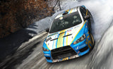 Dirt Rally