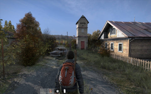 DayZ